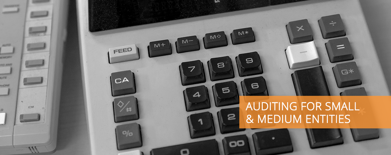 AUDITING FOR SMALL & MEDIUM ENTITIES