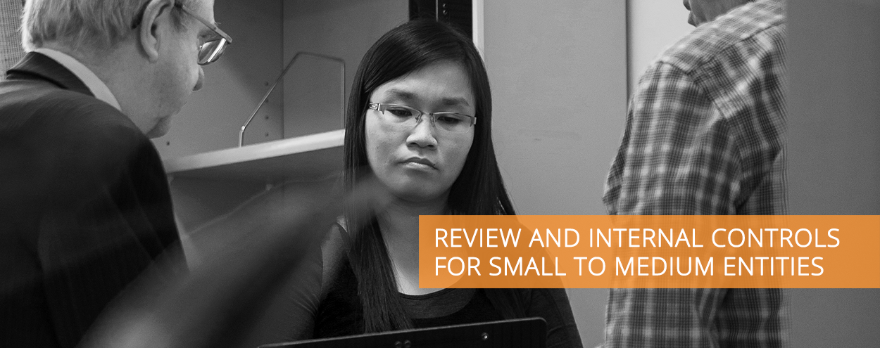 REVIEW & INTERNAL CONTROLS FOR SMALL TO MEDIUM ENTITIES